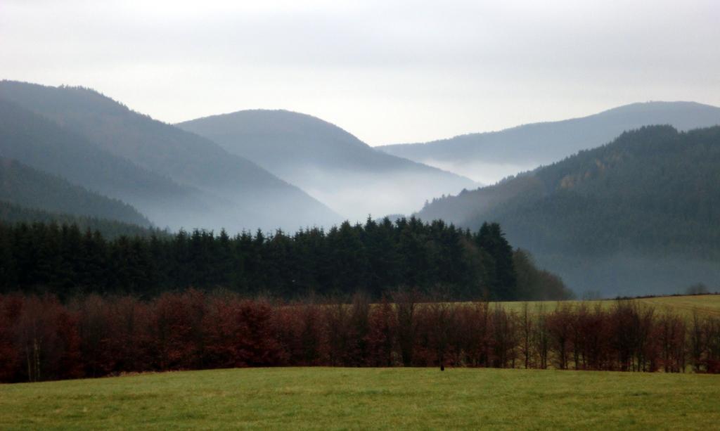 Landhaus Zur Linde Apartman Winterberg Szoba fotó